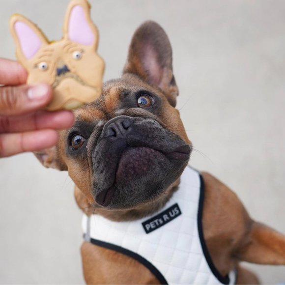 PETsRUS Step In Vest Dog Harness Quilted Vegan Leather White Black Reflective - Picture 10 of 10